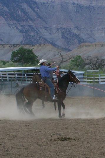 Dustan Hinkins, RGR Rope Horse, heel horse