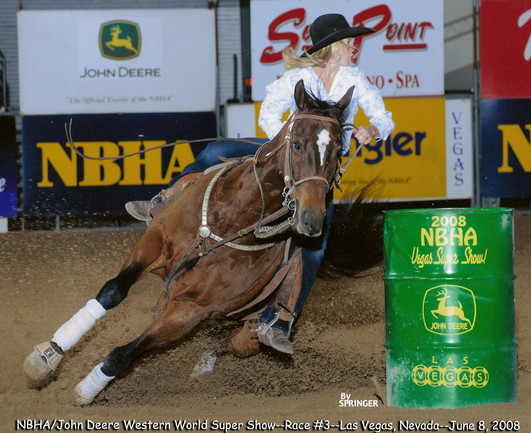 Streakin Days Barrel Horse RGR Horses