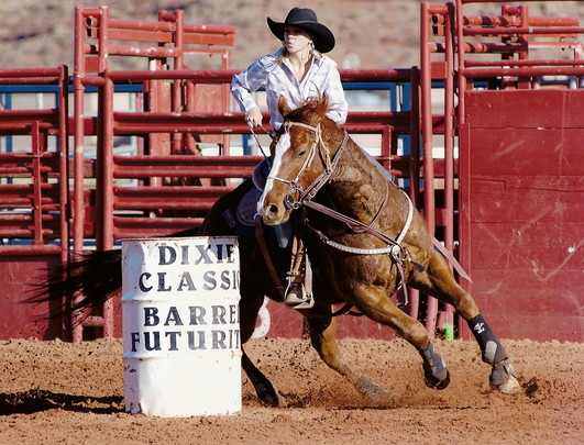 RGR Barrel Horse Rainbow Glass Ranch