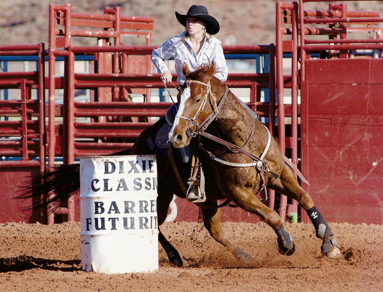 RGR Barrel Horse Rainbow Glass Ranch